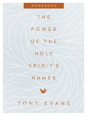 cover image of The Power of the Holy Spirit's Names Workbook
